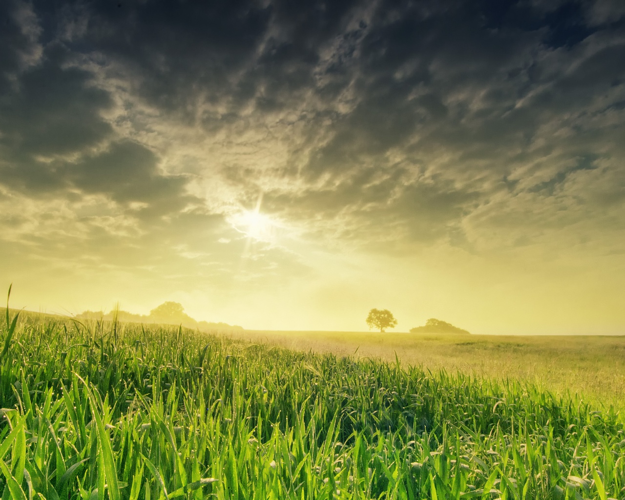 Безмятежность обои