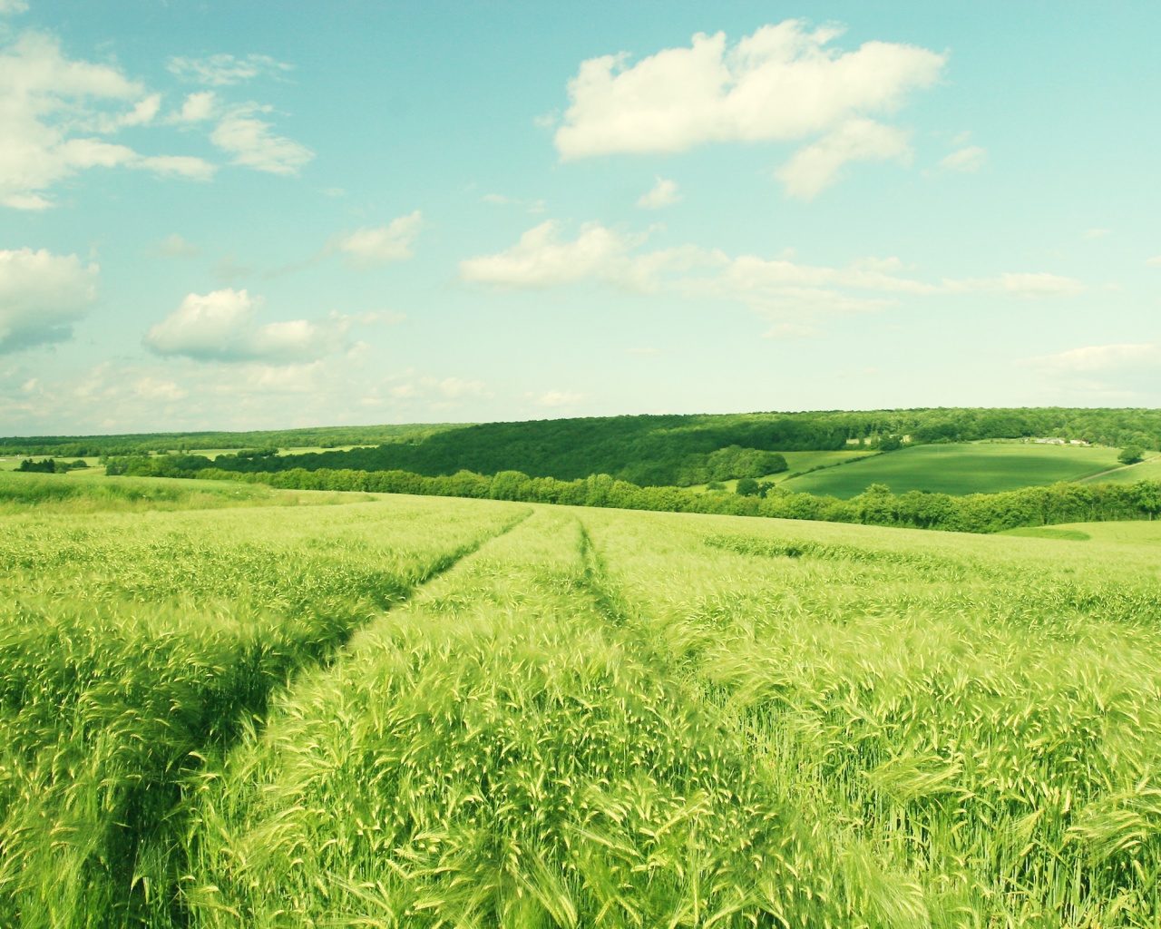 Бескрайние просторы обои