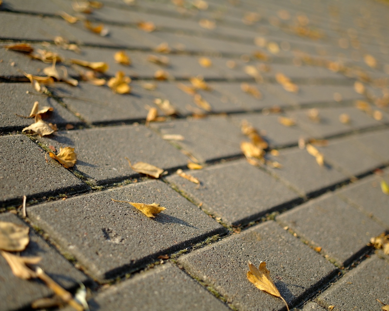 Тротуар обои