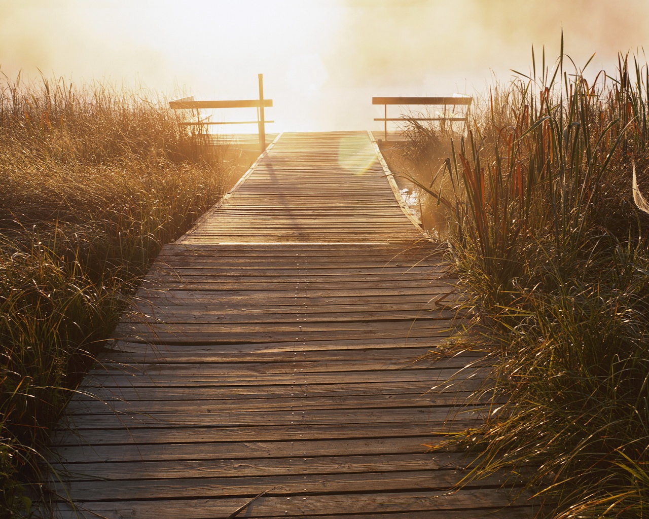 Выход к реке обои