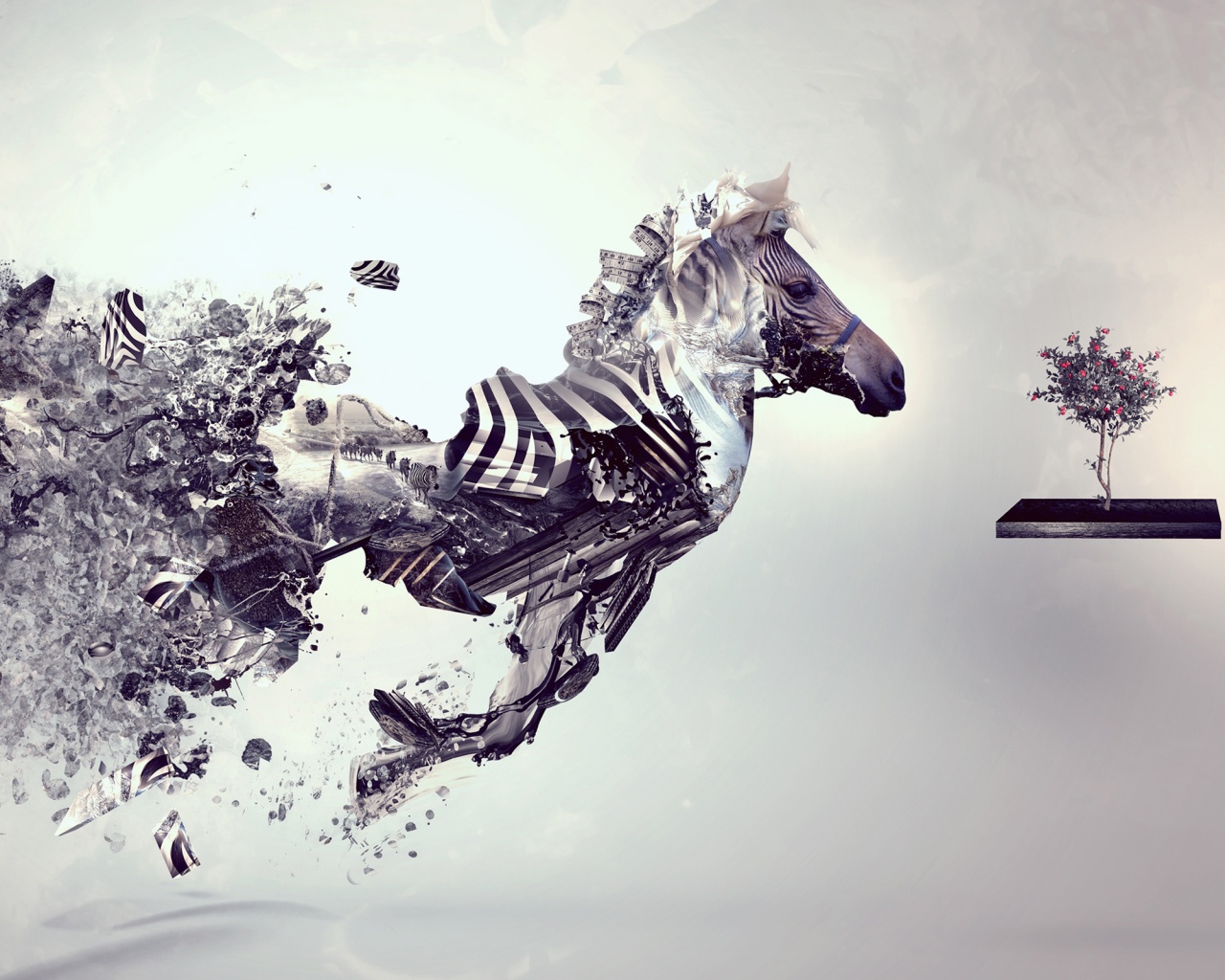 Зебра и бонсай обои