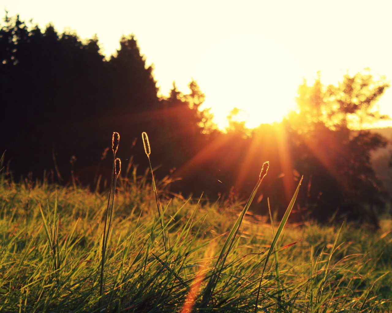 Красота природы обои