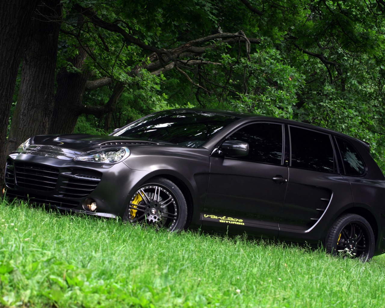 Концепт внедорожника в лесу обои