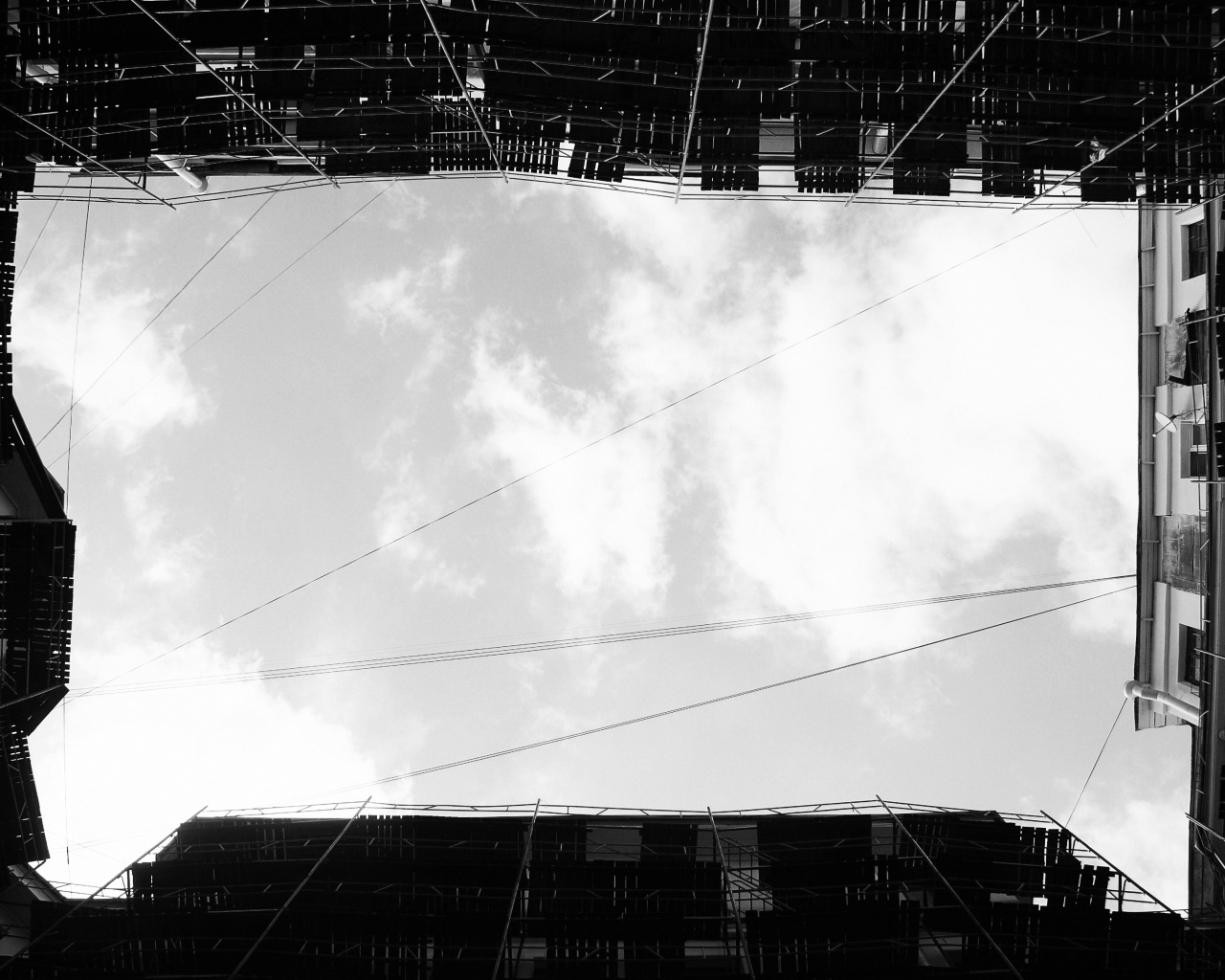 Человеческий муравейник обои