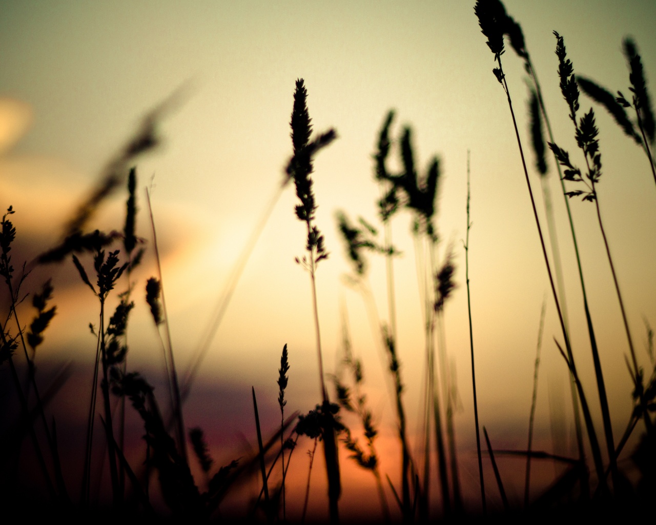 Дыхание природы обои