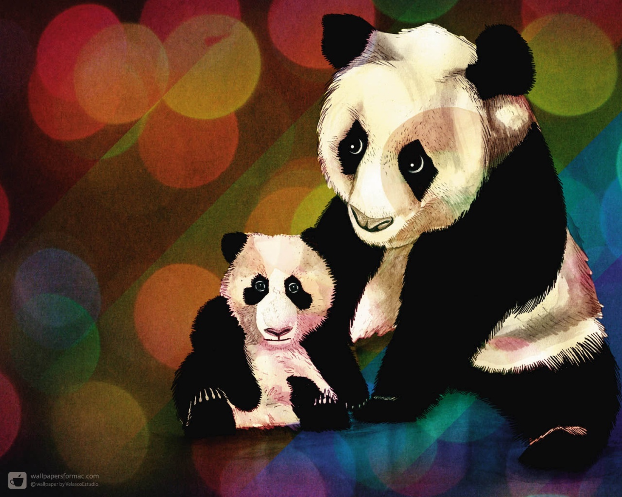 Панды обои