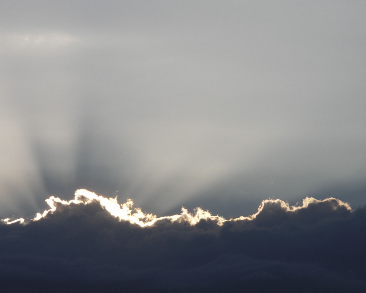 Проблески света обои