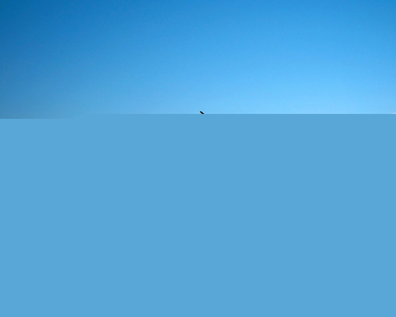 Паращий над морем обои