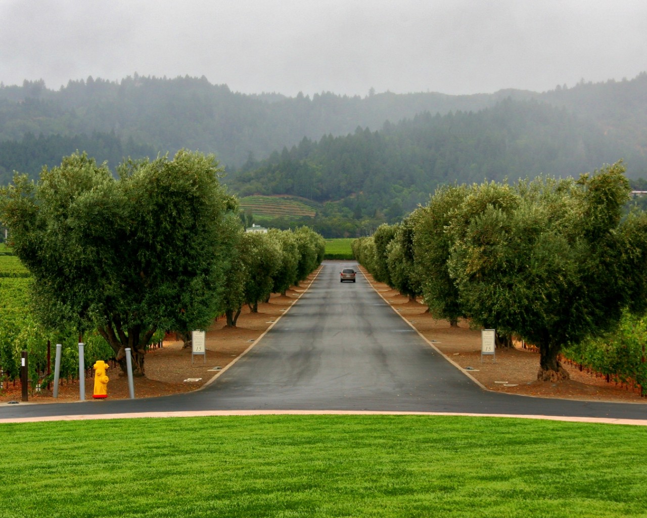 Сельский пейзаж обои
