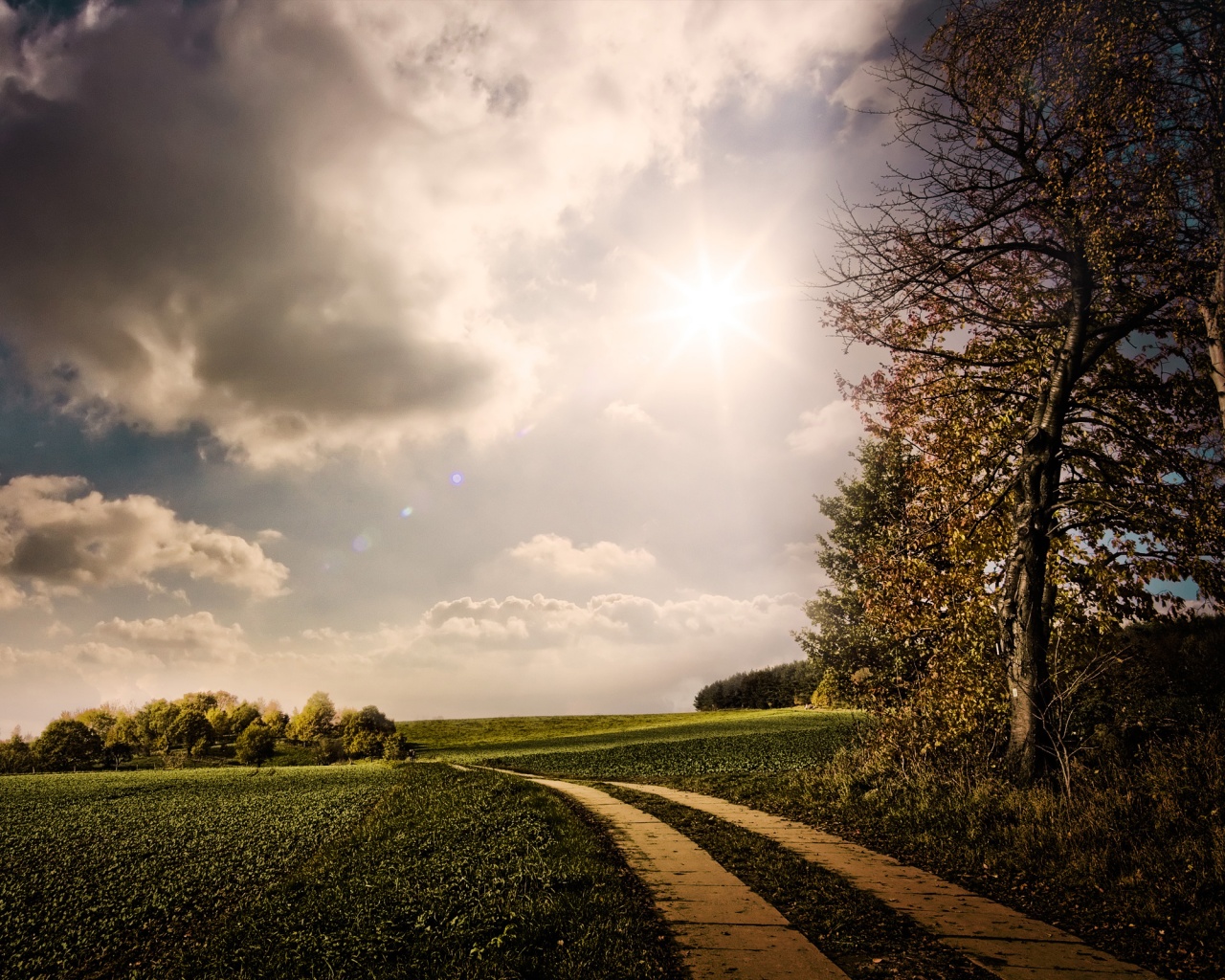 Солнечные холмы обои