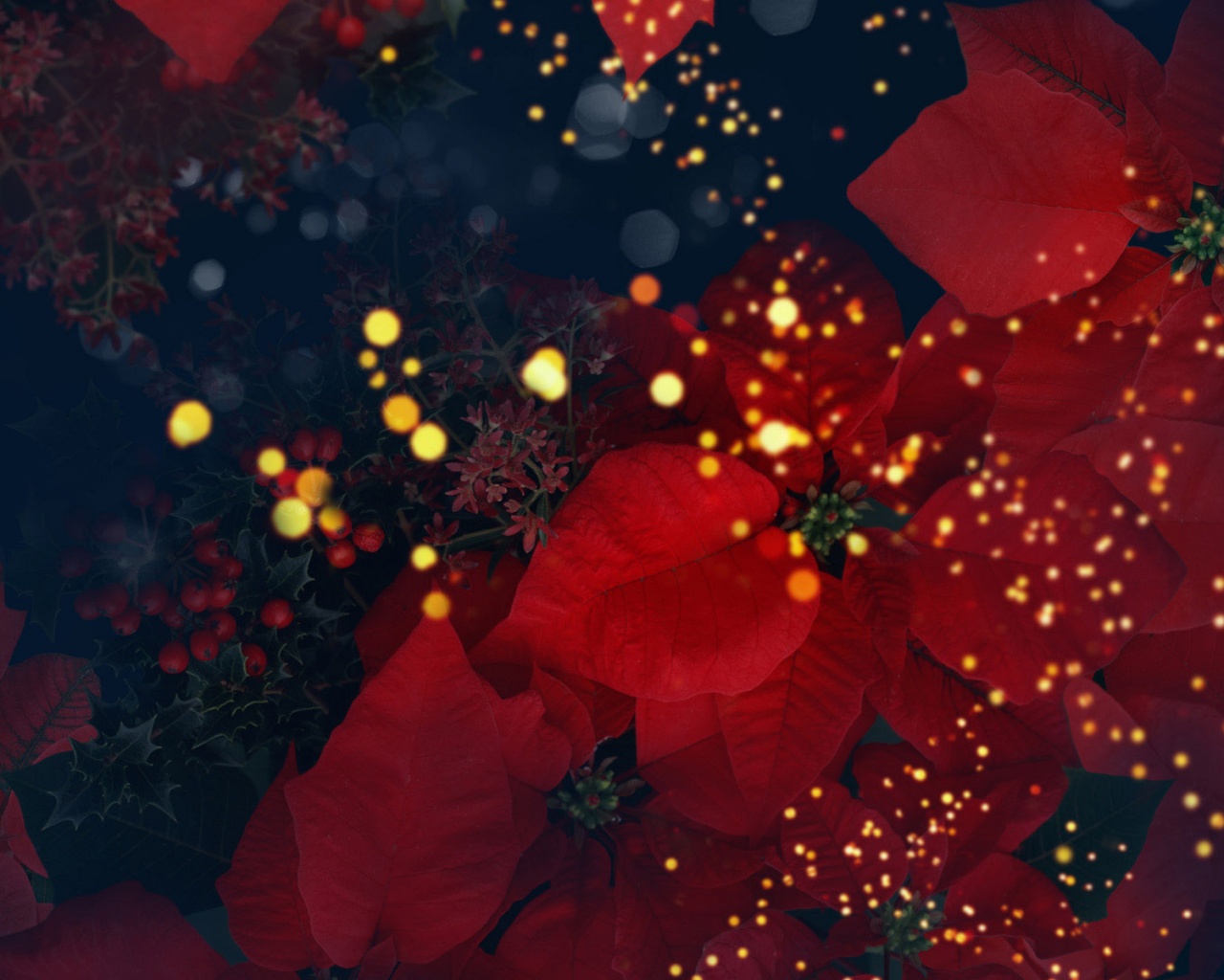 Бархатные лепестки обои