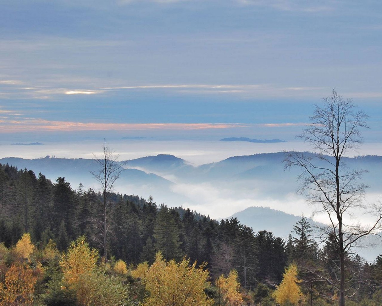 Холмы в тумане обои