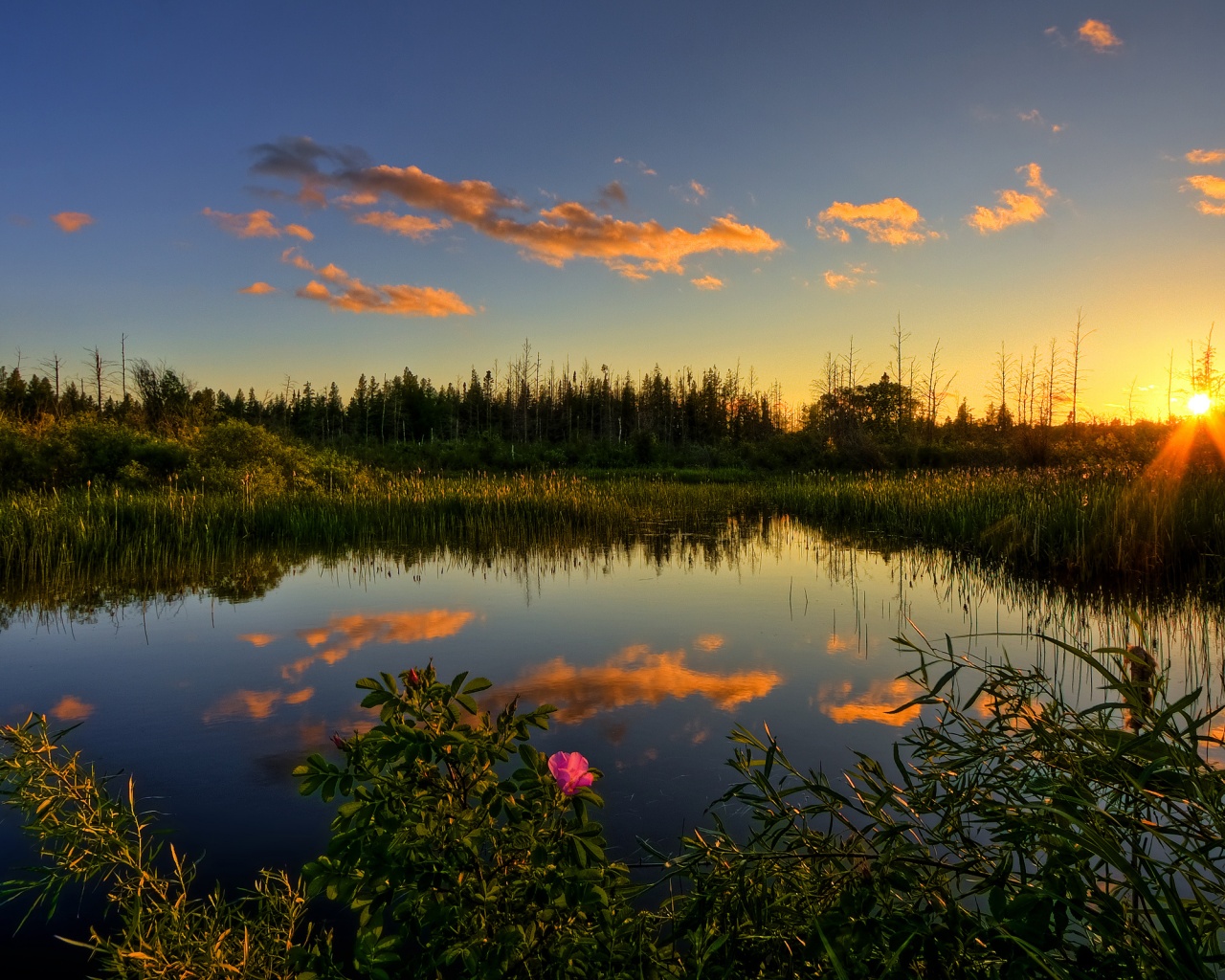 Вечерний закат обои