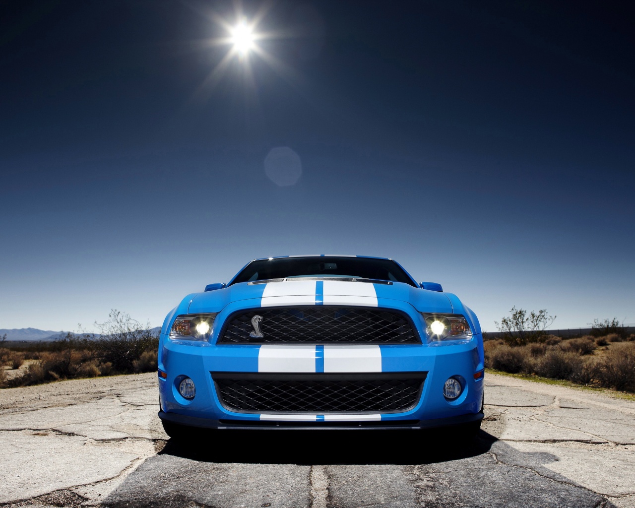 Форд Шелби обои