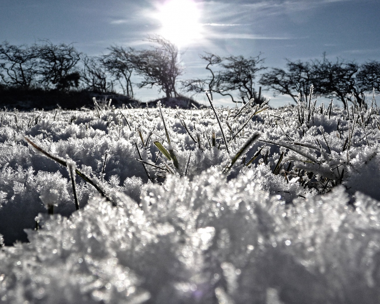 Утренний мороз обои