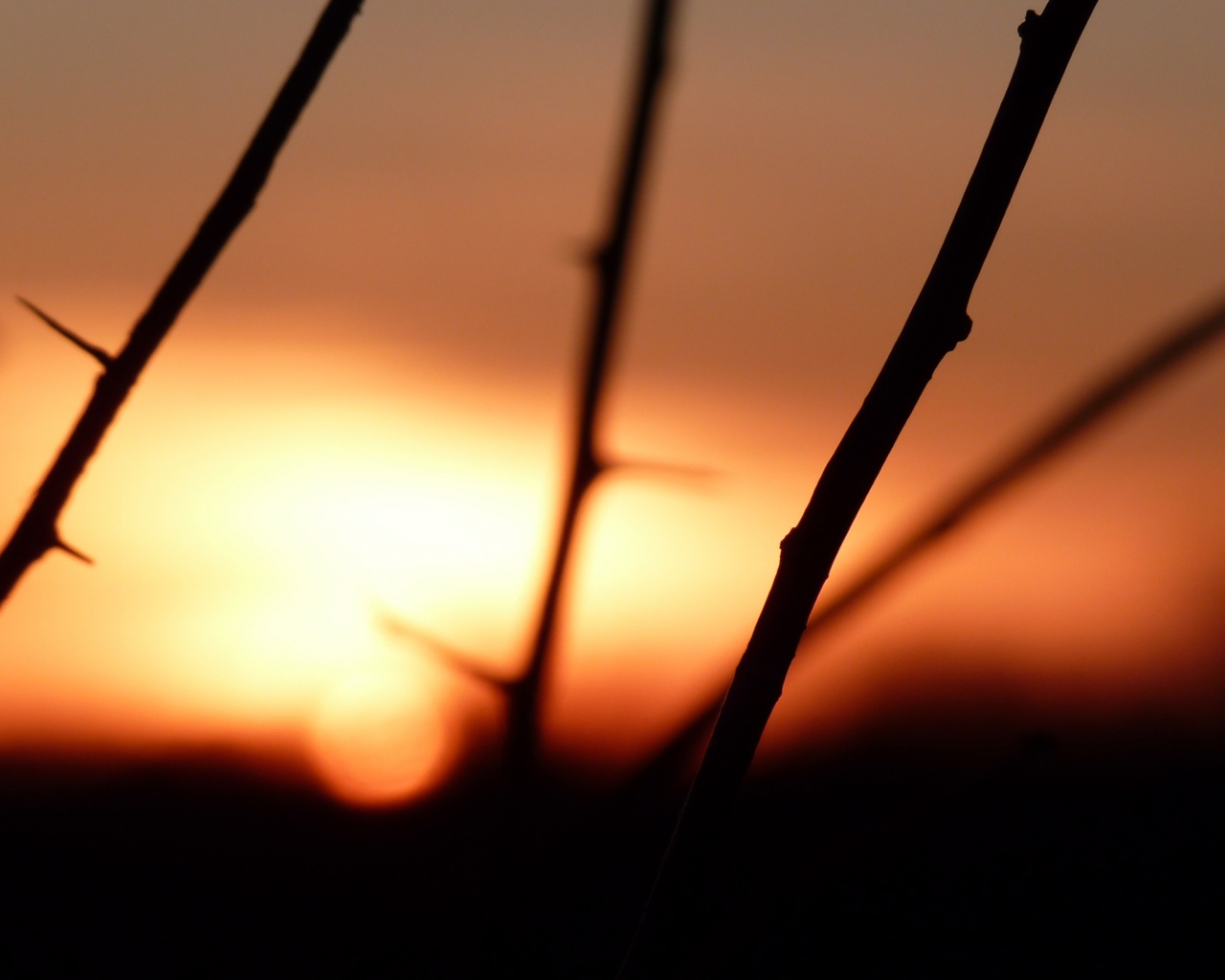 Закат солнца в поле обои