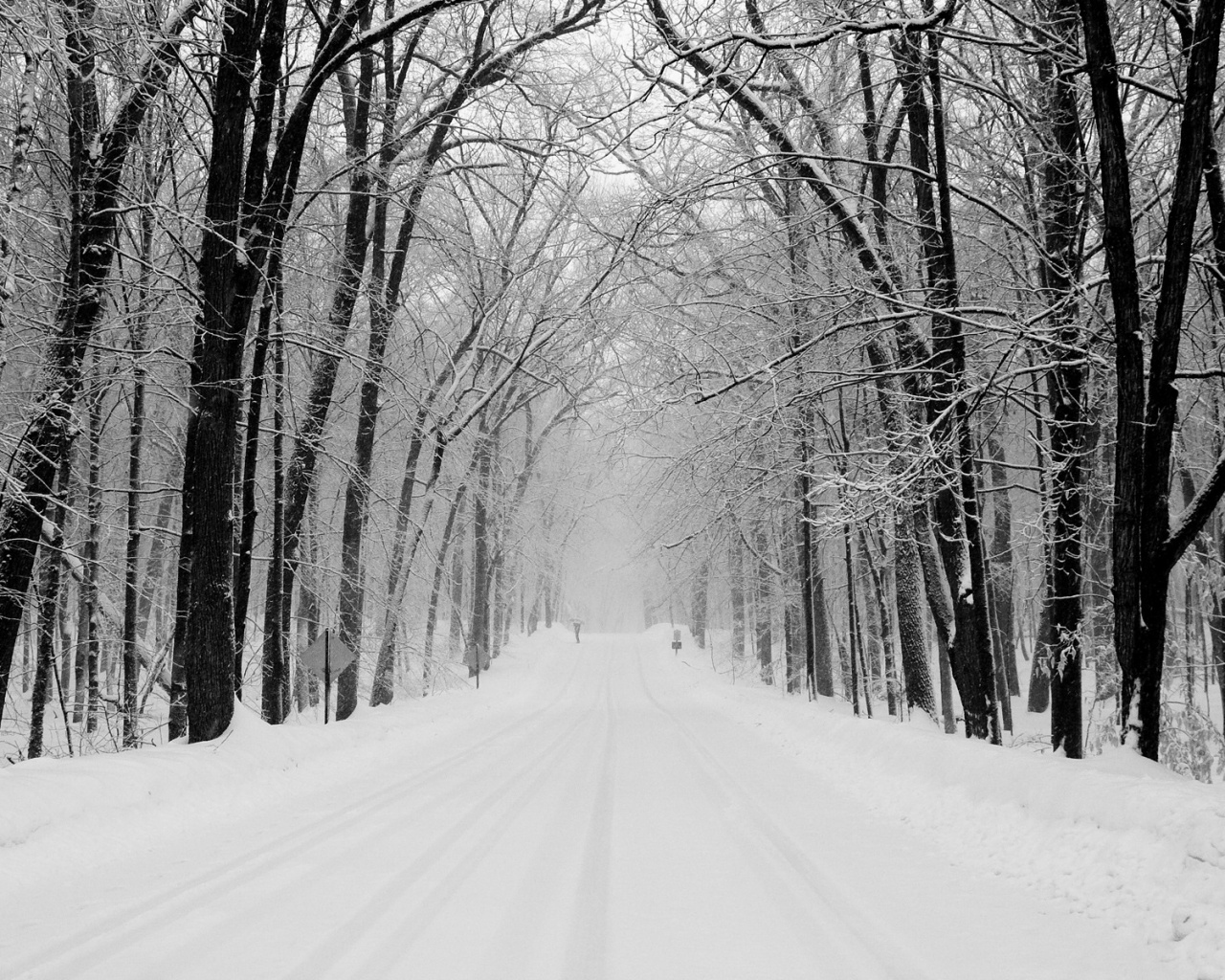 Дорога зимой в парке обои