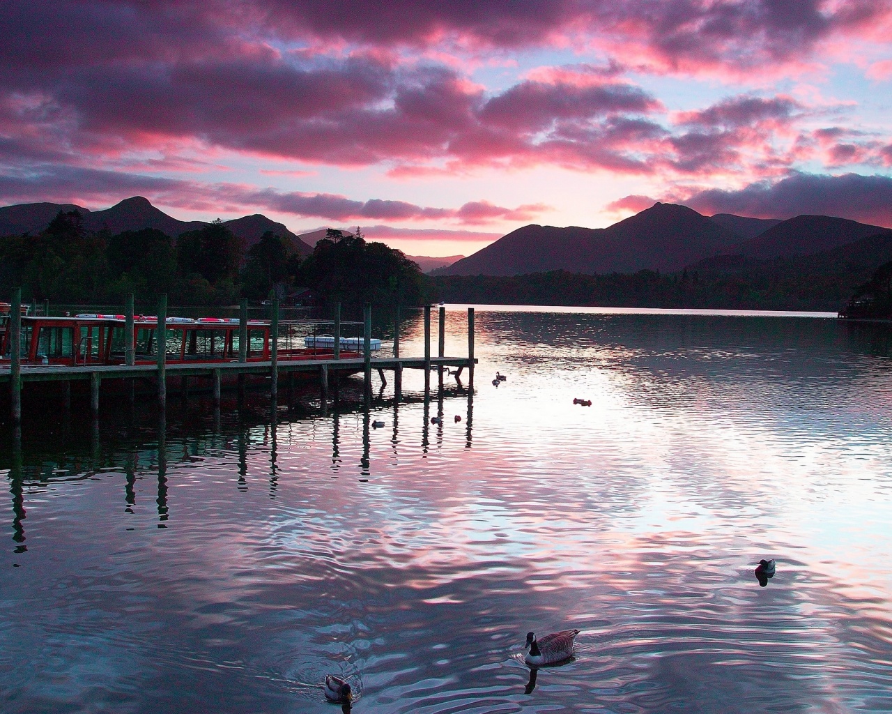 Причал на озере и утки обои