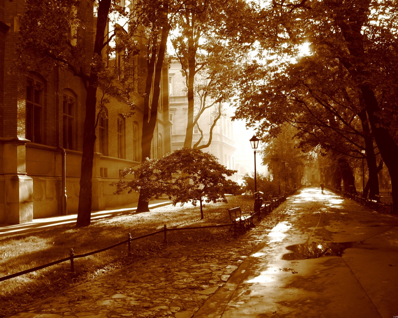 Аллея у здания обои