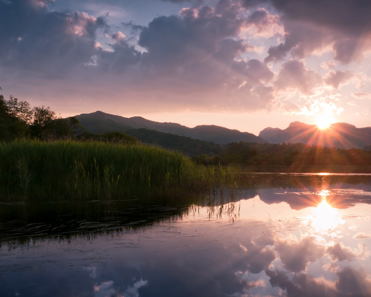 Закат за лесом обои
