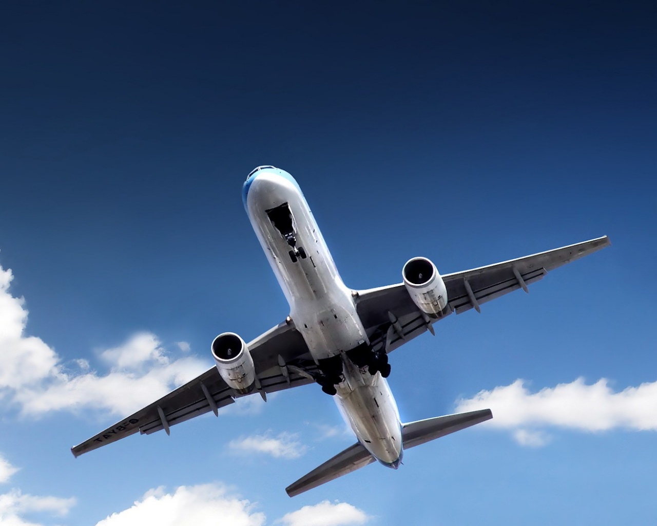 Лайнер обои