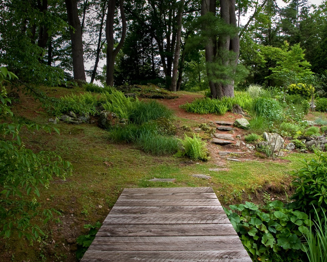 Лесные тропы обои