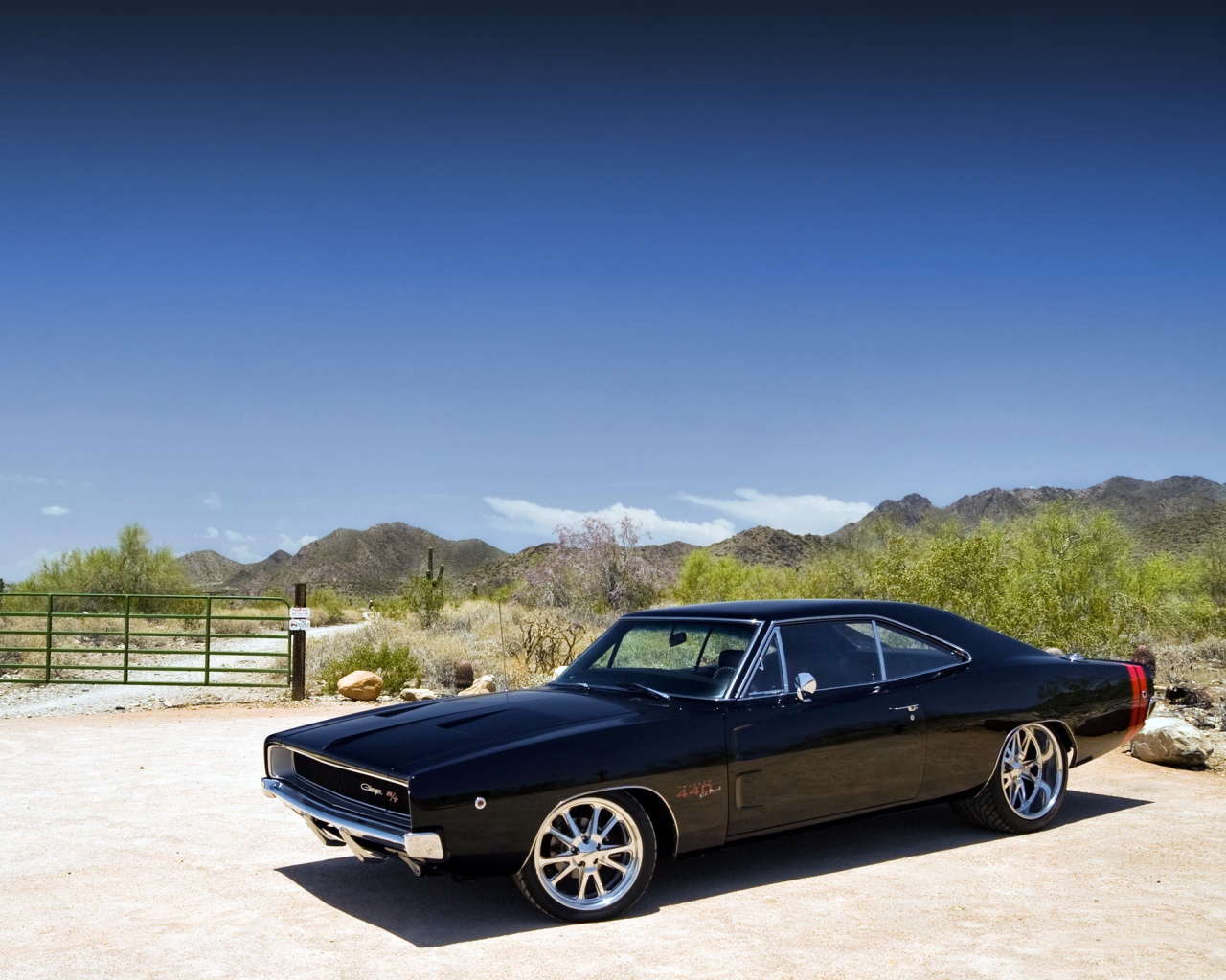 Мускулкар под палящим солнцем обои