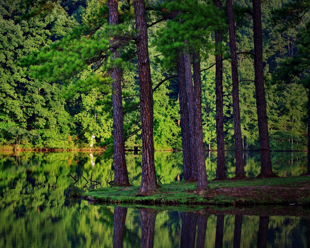Островок посреди озера обои
