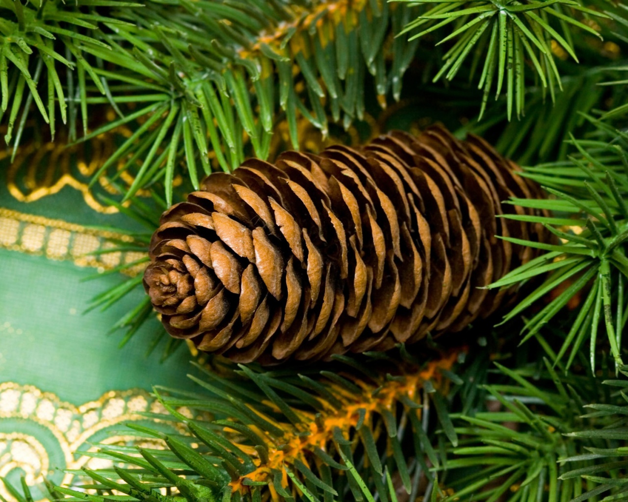 Шишка на елке обои