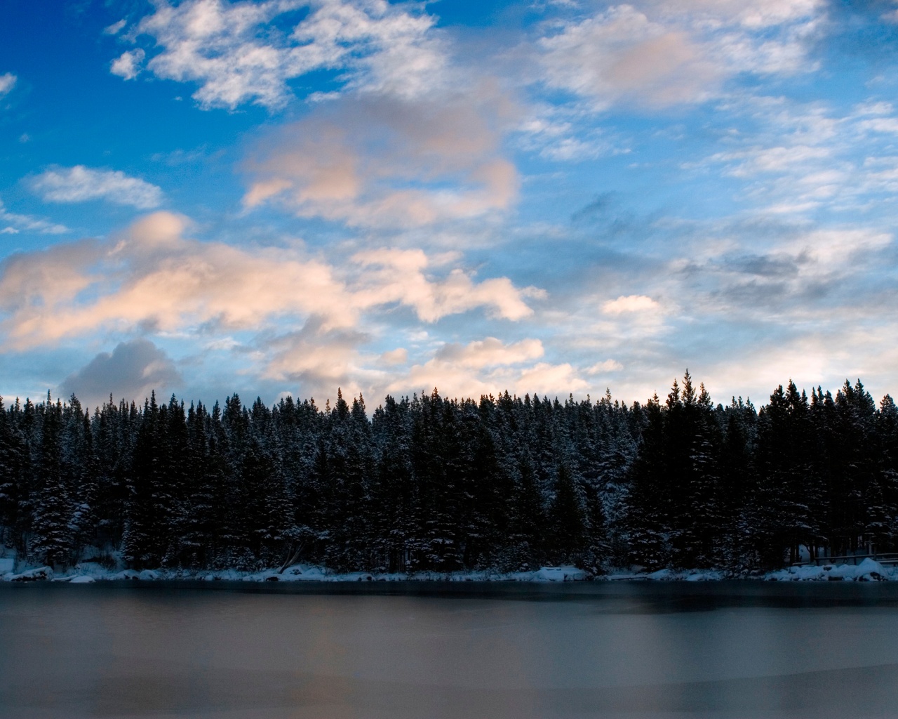 Лес на озере обои