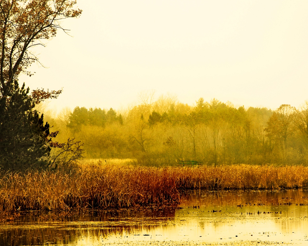 Живописные болота обои