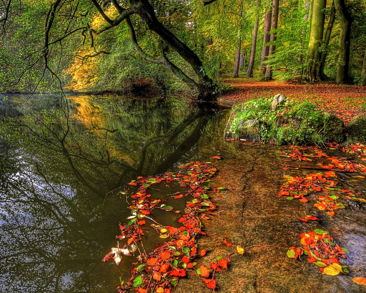 Пейзаж обои