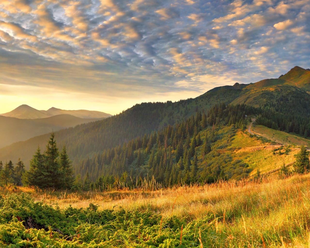 Предгорье обои