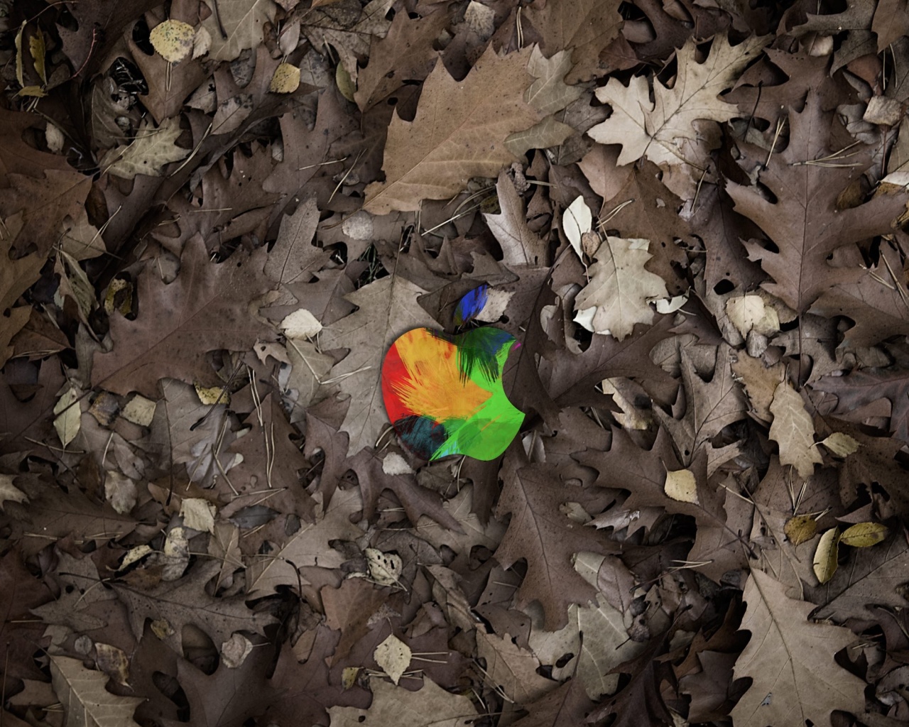 Яблоко в листьях обои