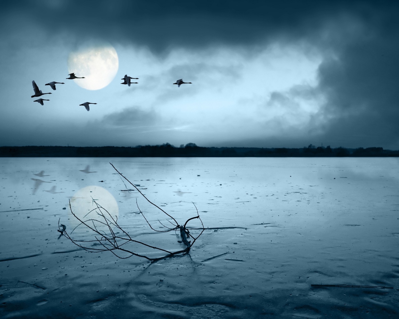 Полет птиц над озером обои