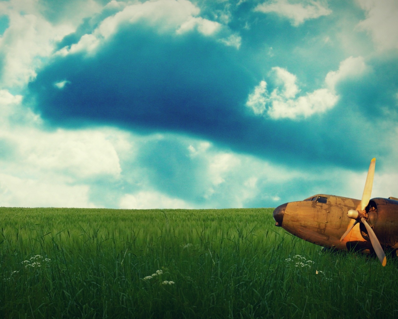 Старый ржавый самолет на лугу обои