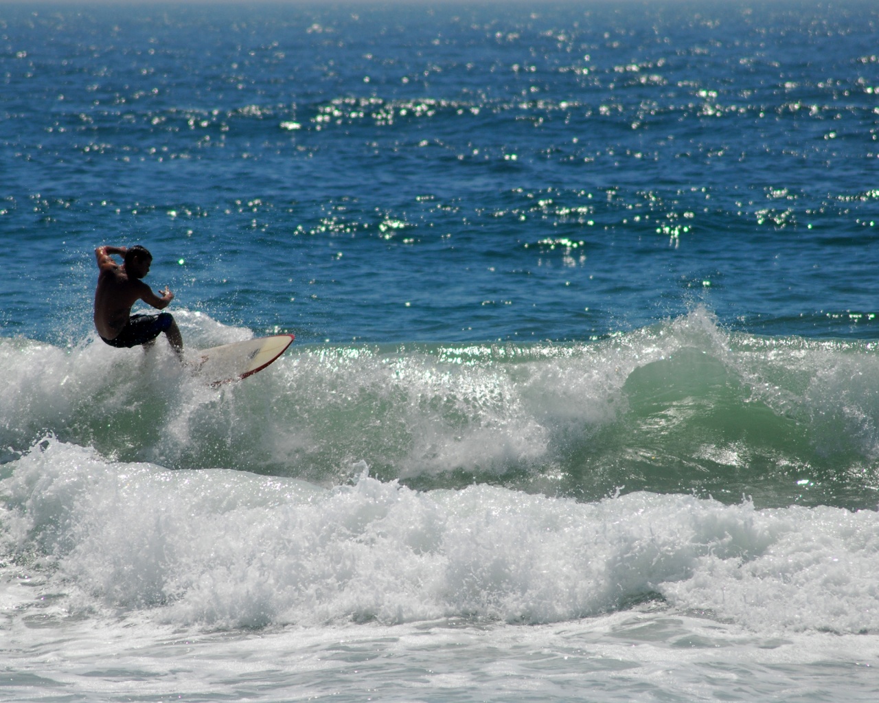Сёрфенгист поймал волну обои