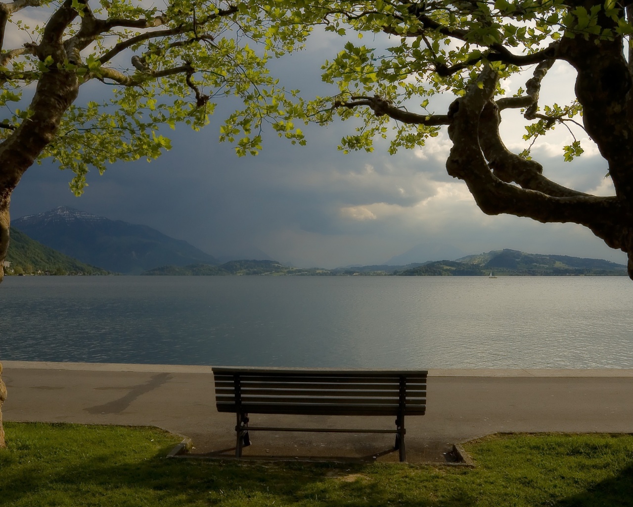 Скамейка на берегу обои