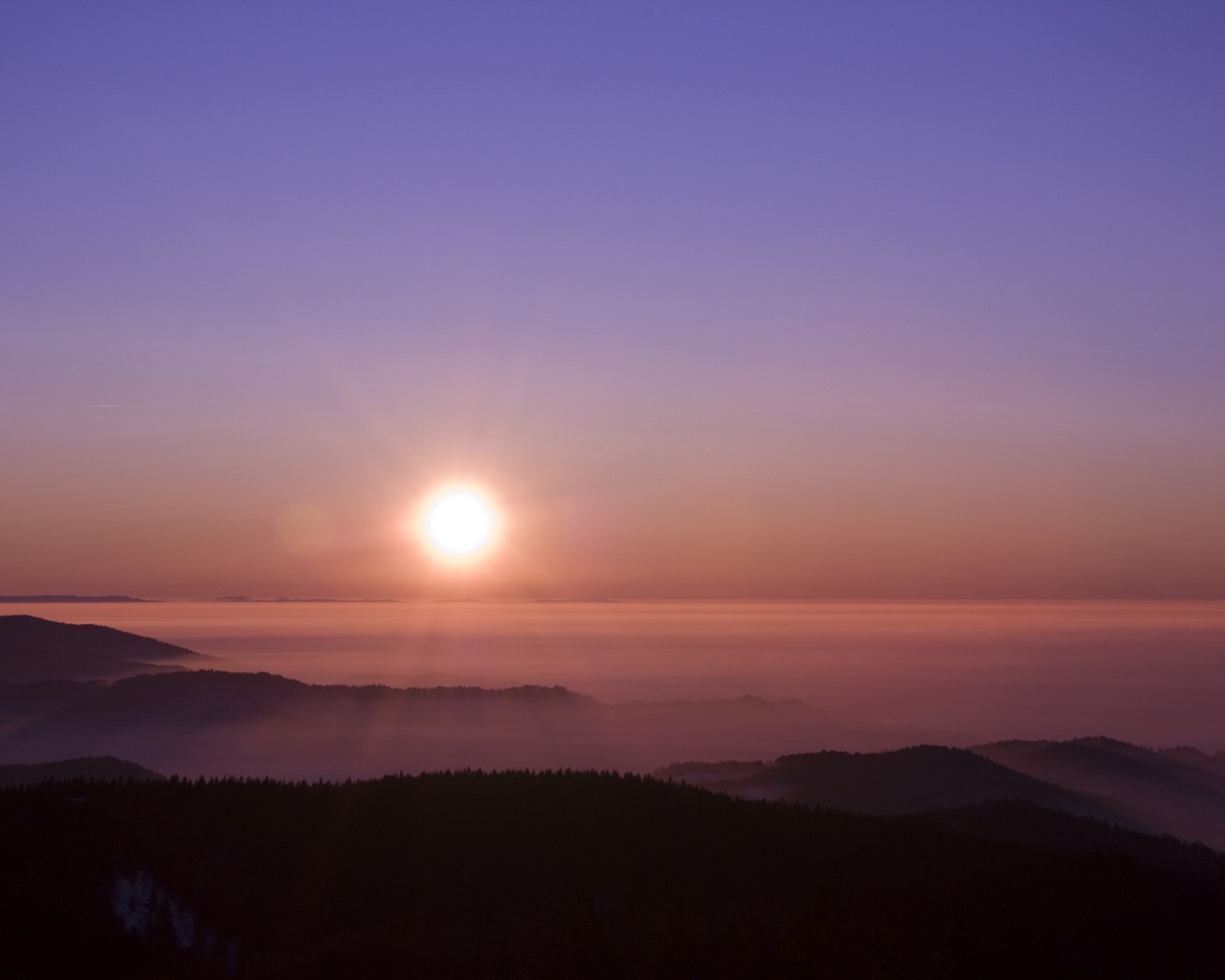 Восход солнца над лесом обои