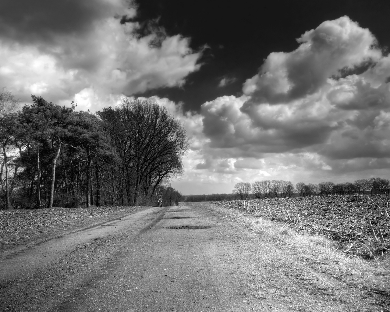 Дорога через поле обои