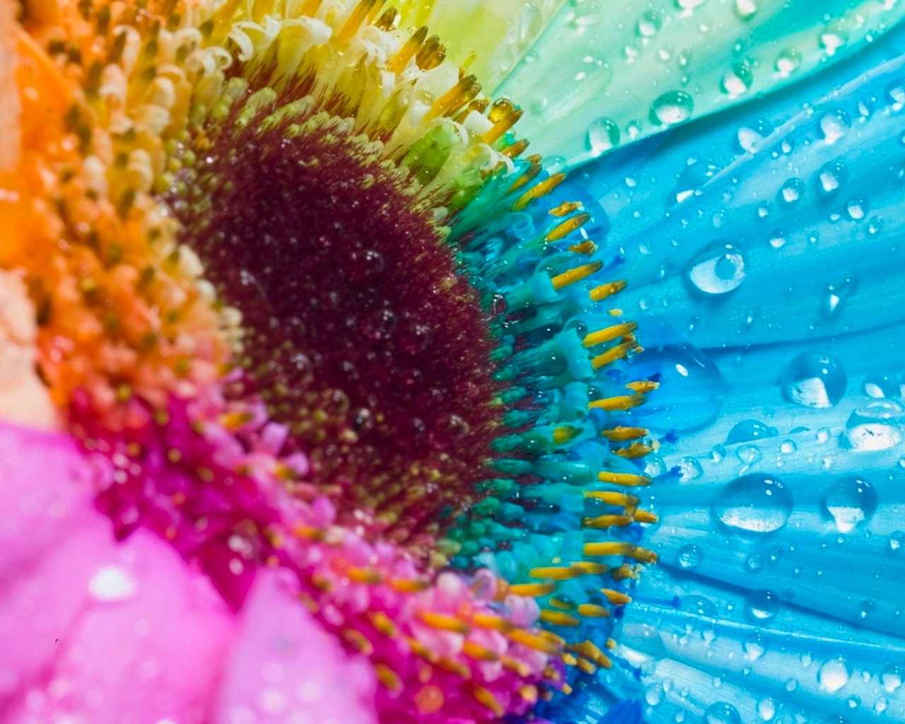 Цветик семицветик обои