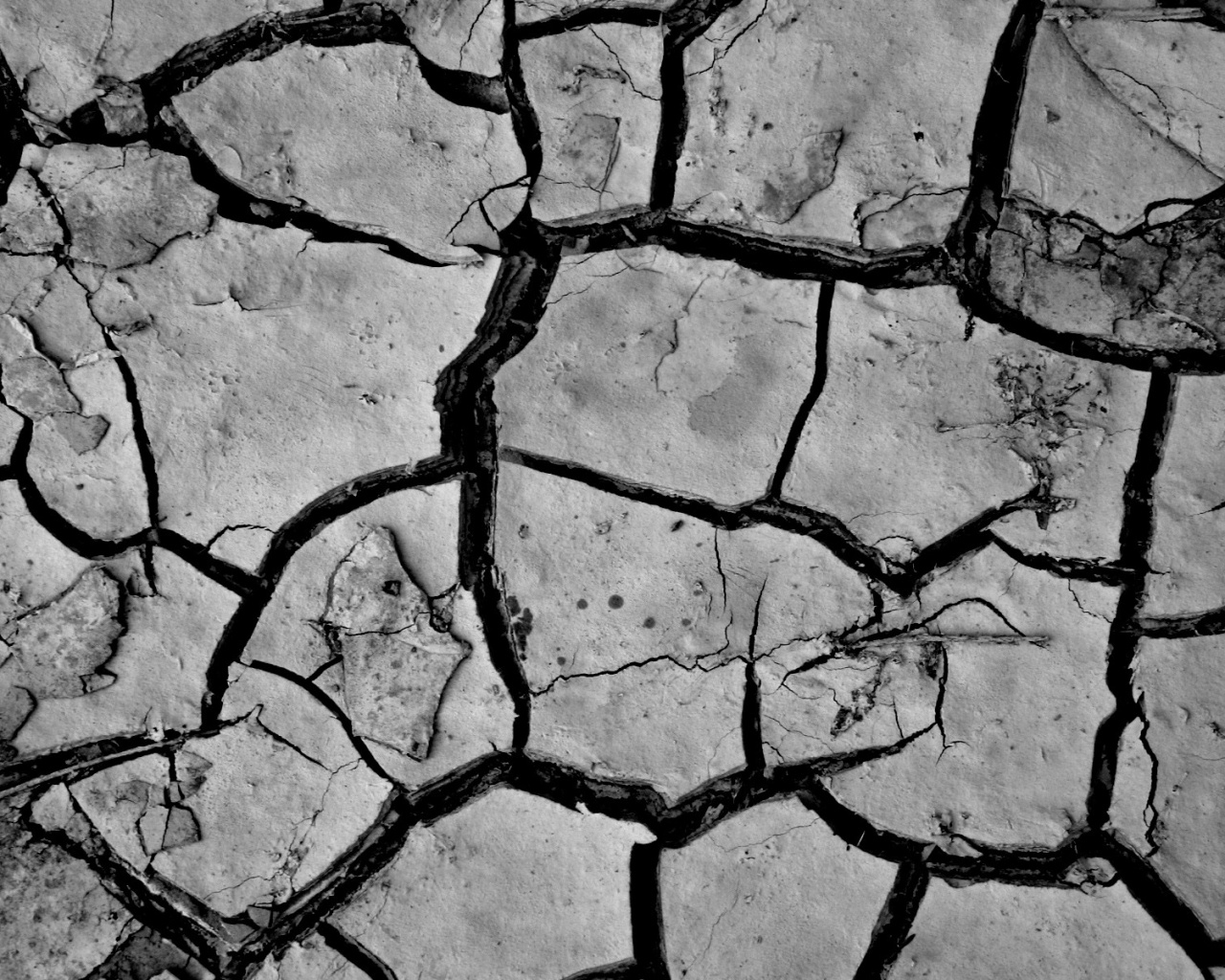 Сухая растрескавшаяся глина обои