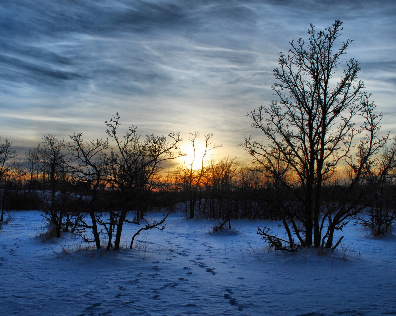 Закат в зимнем лесу обои