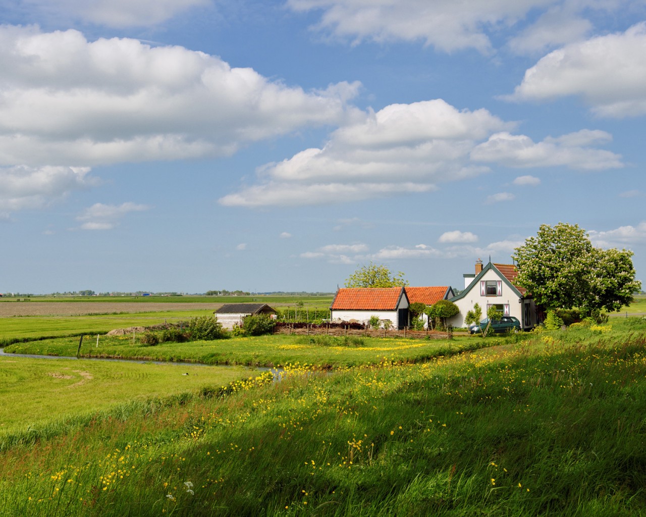 дом на лугу обои