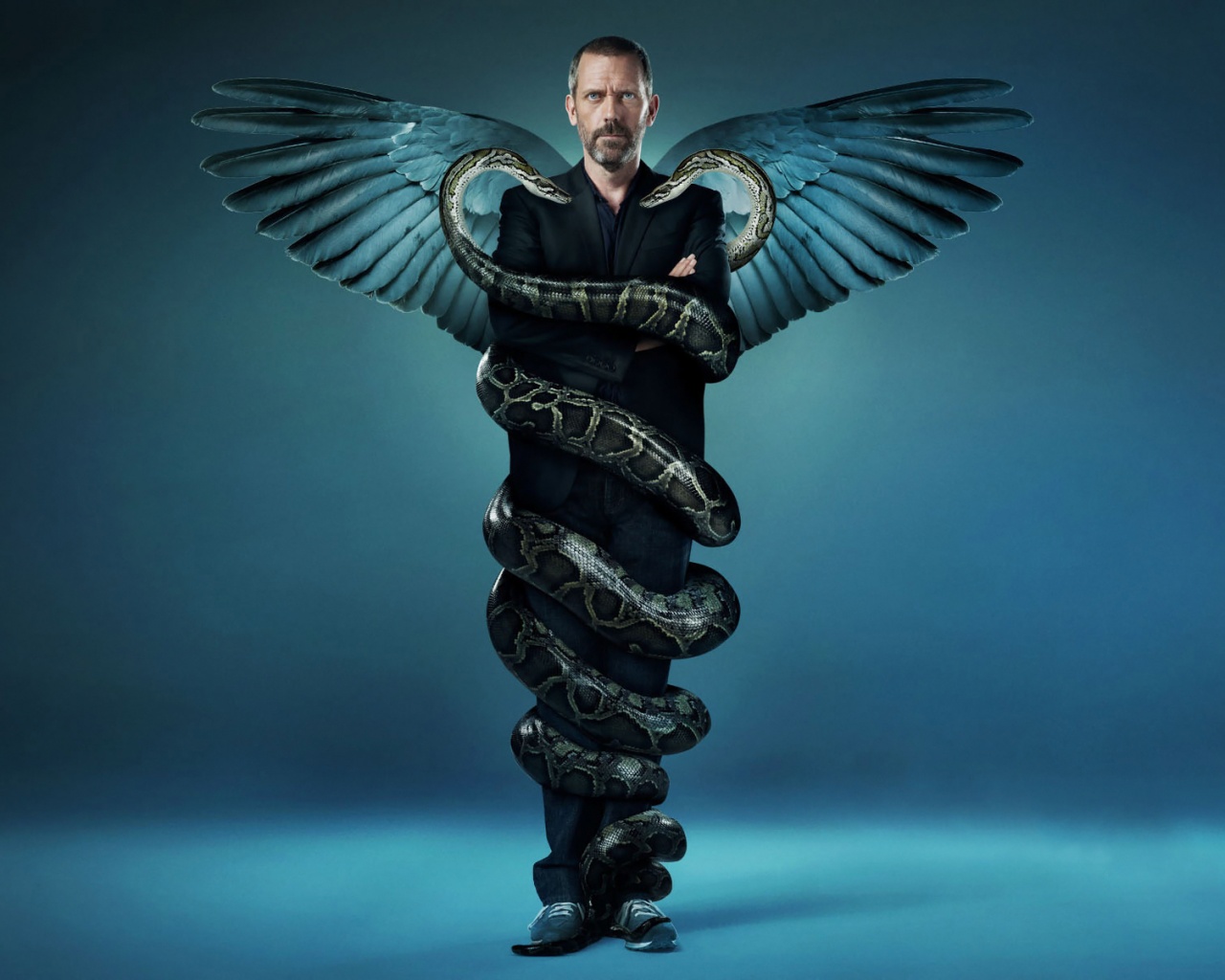 Заставка шестого сезона HOUSE M.D. обои