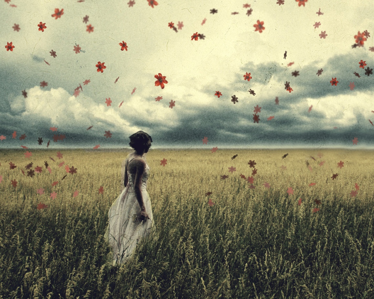 Грустная девушка в поле травы обои