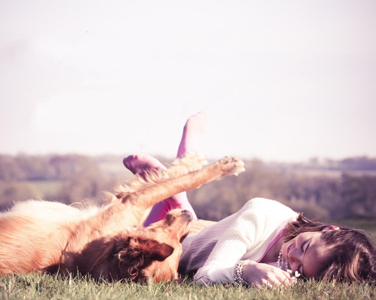 Девушка и собака валяются на траве обои