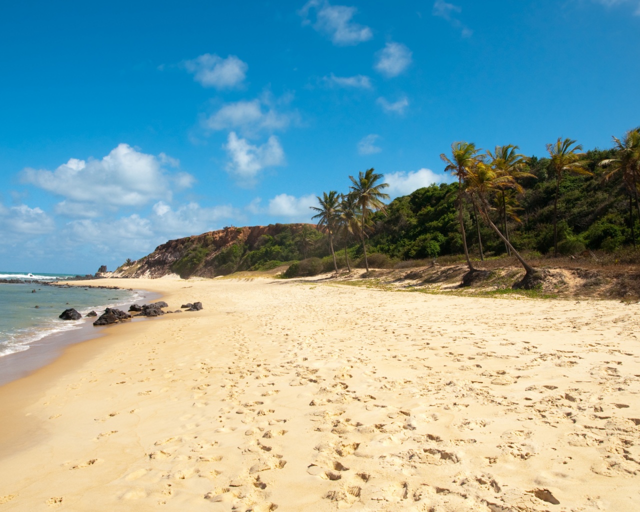 Туры в Бразилию в Лондрину обои