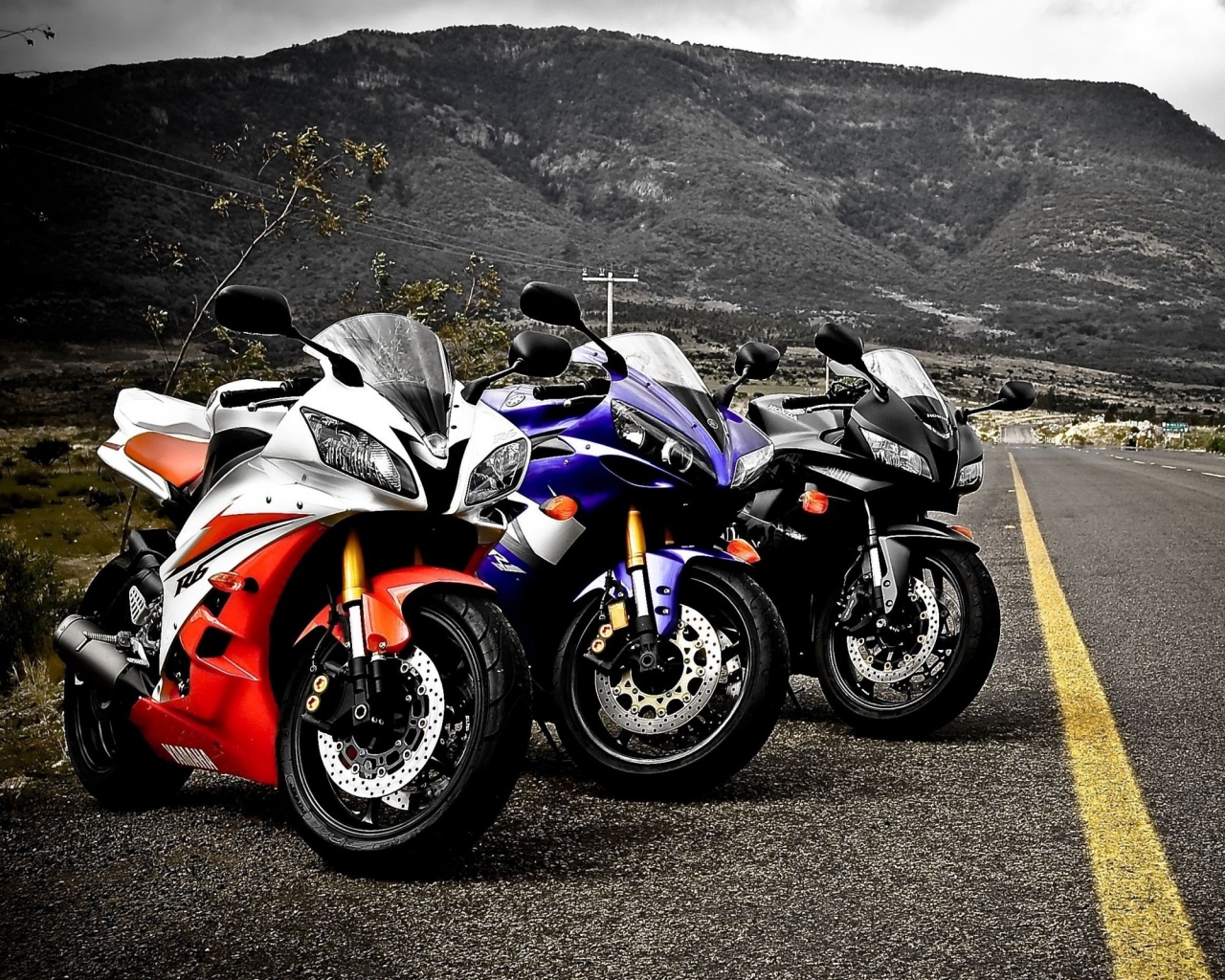 Раллийные мотоциклы на дороге обои