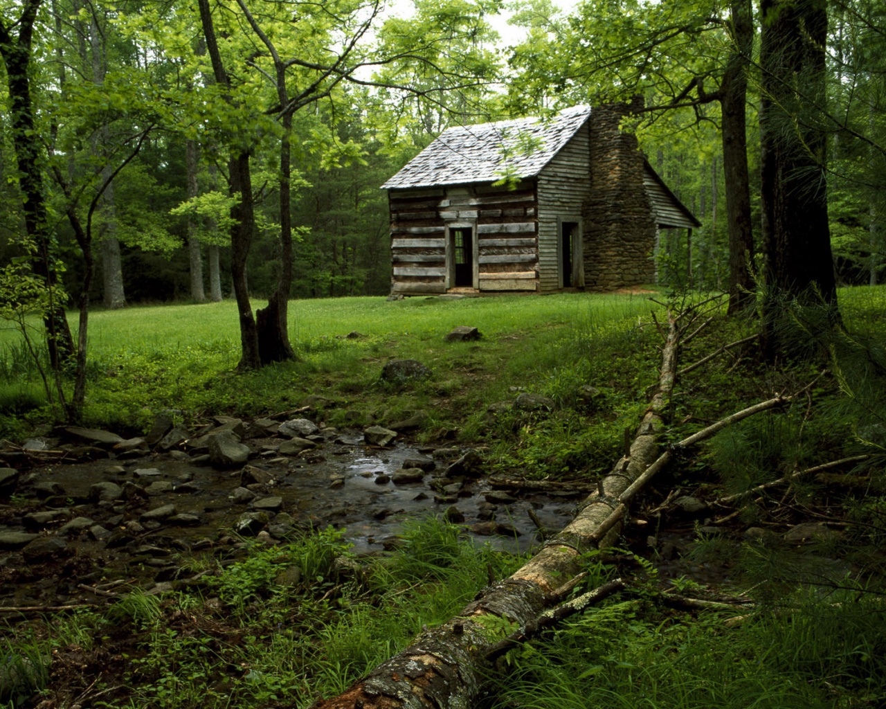 Домик в лесу обои